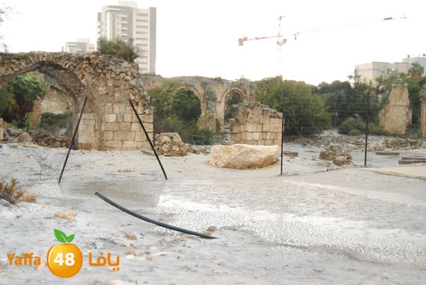 ice ramla 1213 (6).JPG